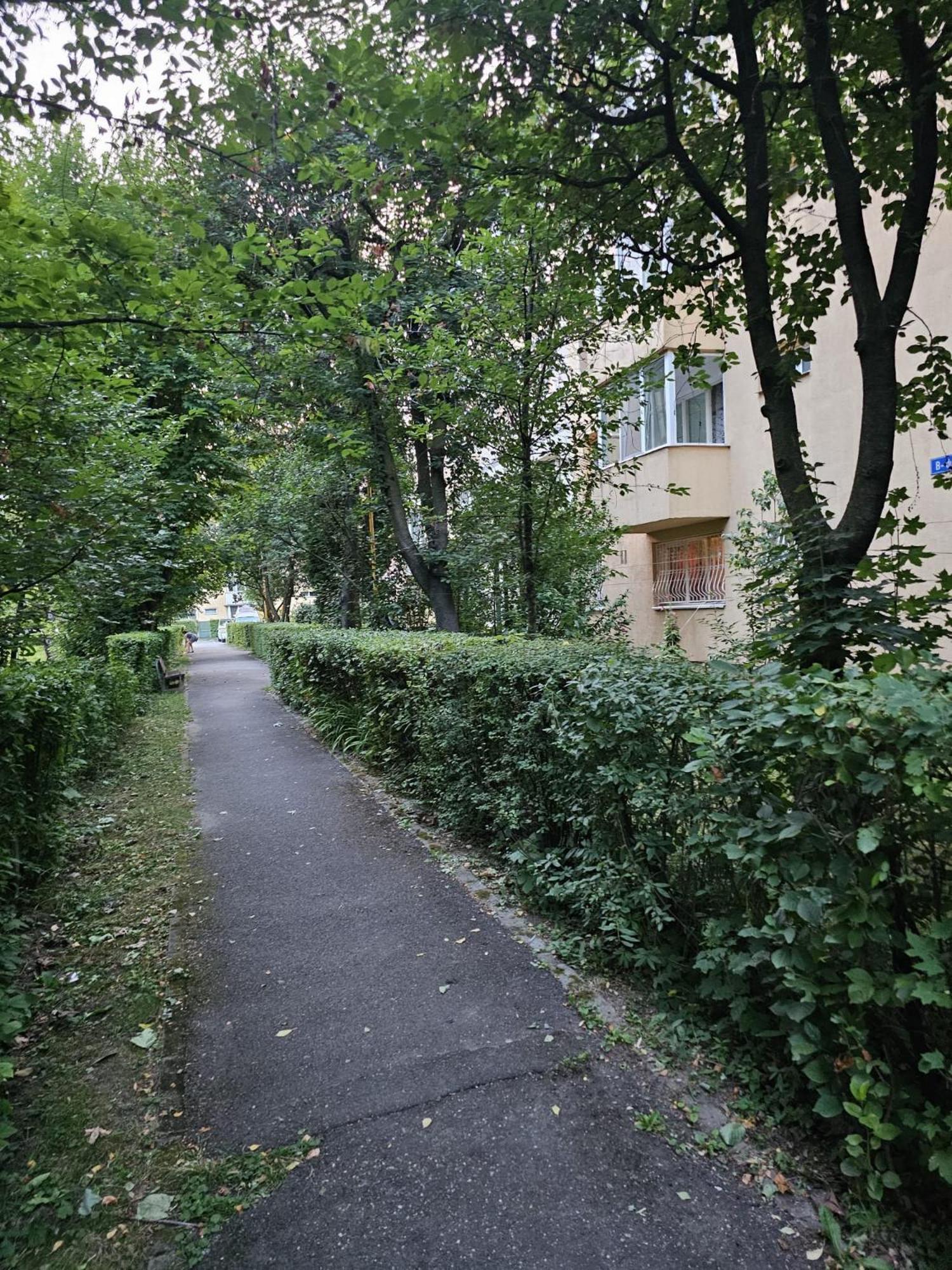 Saturn Studio Braşov Exterior foto